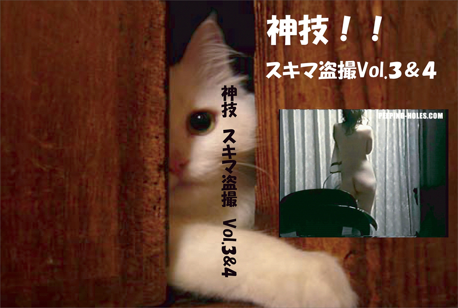 神技!スキマ盗撮 Vol.3&4