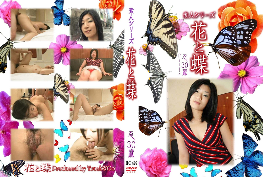 素人シリーズ 花と蝶 Vol.499