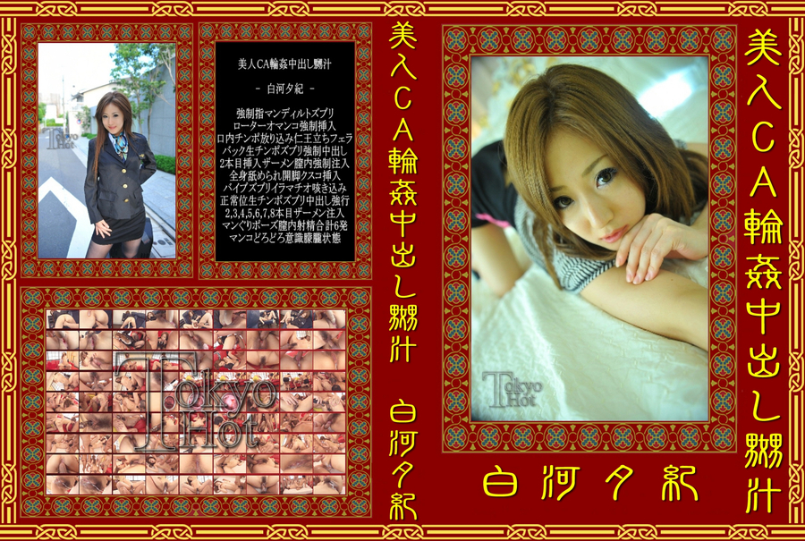 美人CA輪姦中出し嬲汁