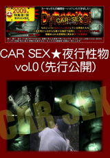 CAR SEX 夜行性物 Vol.0