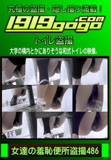 女達の羞恥便所盗撮 Vol.486