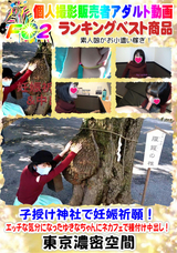 FC2 子授け神社で妊娠祈願!エッチな気分になったゆきなちゃんにネカフェで種付け中出し!