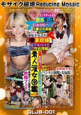 【モザイク破壊】 豊彦 素人淫女図鑑vol.1