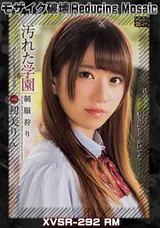【裏DVD】【超破壊版】 汚れた学園～剥がされた美少女の笑顔～初美りん