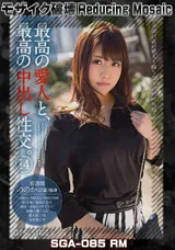 【裏DVD】【超破壊版】 最高の愛人と、最高の中出し性交。１４