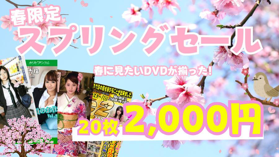 春季限定スプリングセール20枚