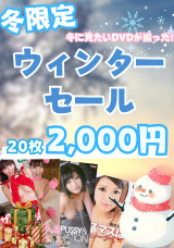 冬季限定ウィンターセール20枚